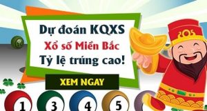 Dự đoán xsmb 11/12